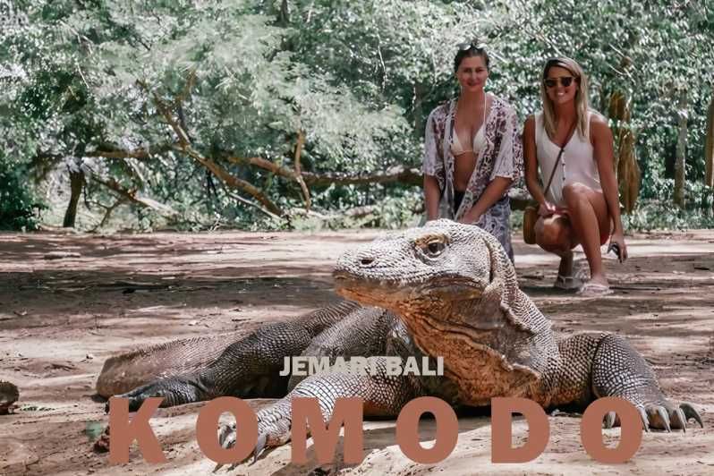 Imagen del tour: Compartir tour de día completo por Komodo para mochileros con slow boat