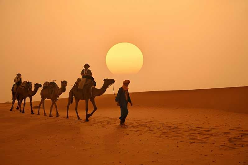 Imagen del tour: Desde Marrakech: Excursión de 3 días por el desierto de Marzouga con paseo en camello