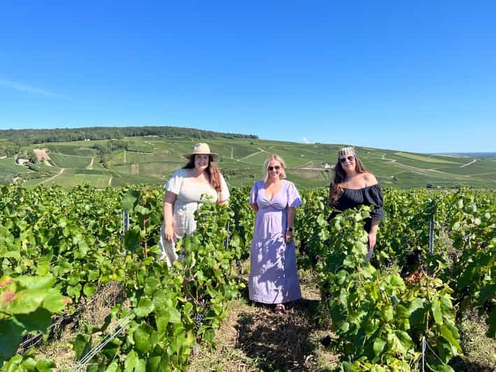 Imagen del tour: Desde Epernay : Tour burbujeante matinal del Champán 6 degustaciones