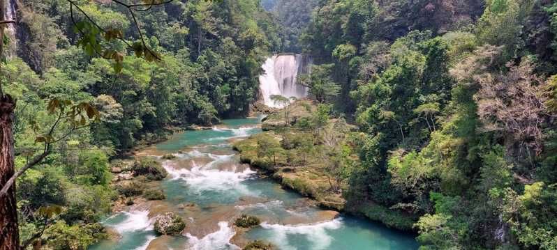 Imagen del tour: Desde Palenque: Excursión Privada a la Cascada de El Salto