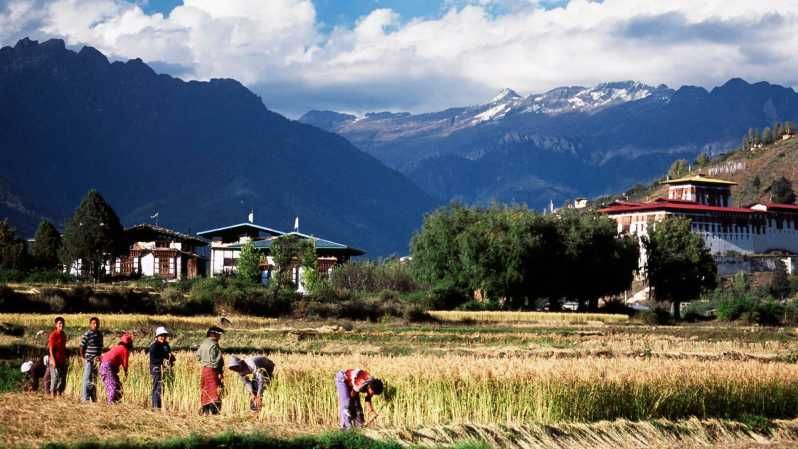 Imagen del tour: Visión de Bután