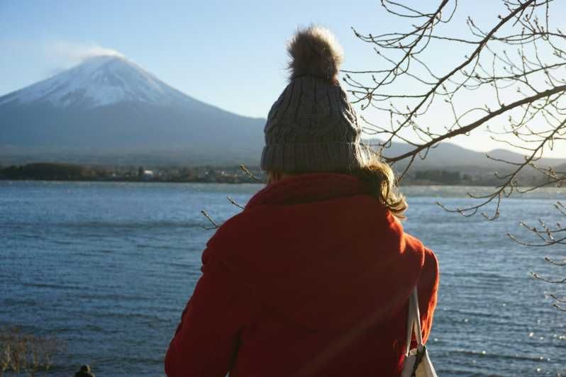 Imagen del tour: Desde Tokio: Excursión Privada de un Día al Monte Fuji o Hakoan