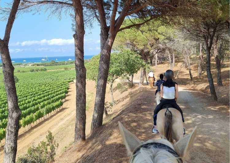 Imagen del tour: Excursión a caballo + cata de vinos en Ramatuelle