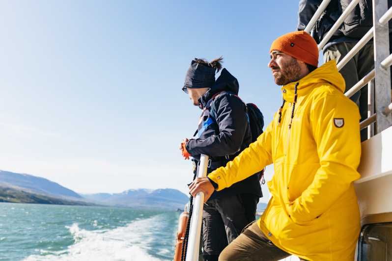Imagen del tour: Akureyri: tour clásico de avistamiento de ballenas de 3 h