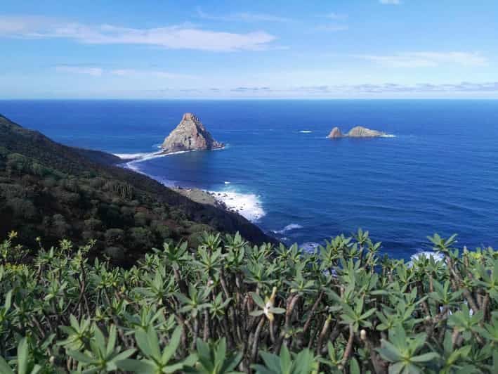 Imagen del tour: Biofest de Anaga: El desafío de Anaga