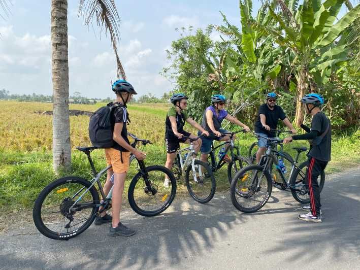 Imagen del tour: Ubud: Tour privado en bici con arrozal, volcán, comida y piscina