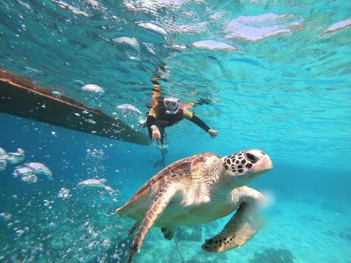 Imagen del tour: Islas Gili: Excursión de snorkel en barco privada o compartida