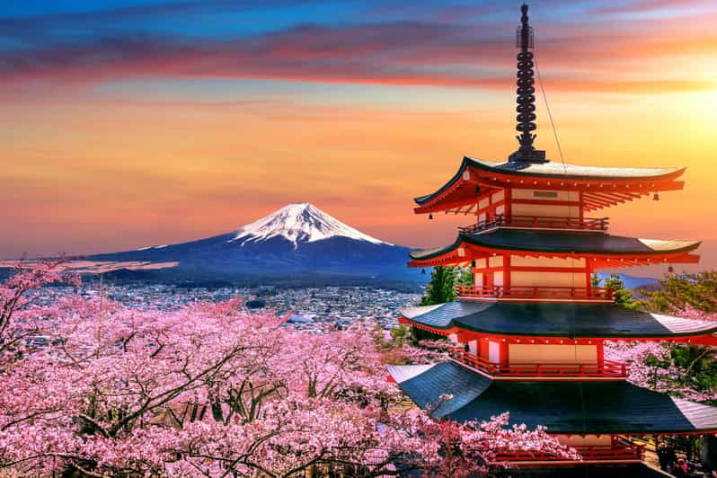 Imagen del tour: Desde Tokio: Excursión privada de un día al Monte Fuji con guía