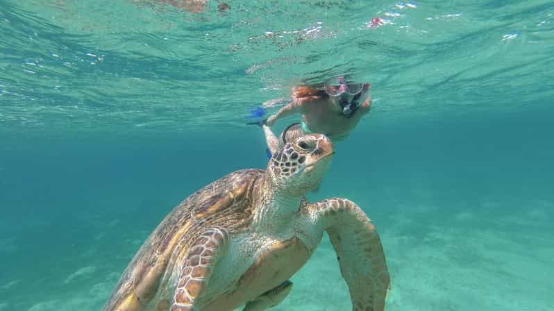 Imagen del tour: Desde Riviera: Excursión a Tulum, Cenote y Nado de Tortugas en Akumal