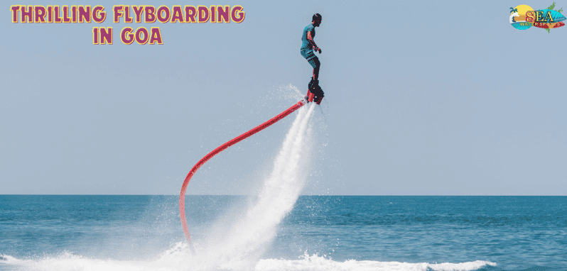 Imagen del tour: Flyboard en Goa