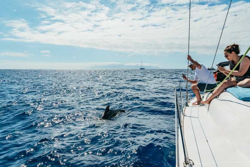 Imagen del tour: Tenerife: avistamiento de delfines y ballenas con aperitivo