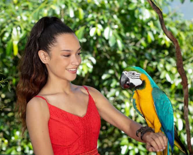 Imagen del tour: Bespoke Birdworld - ¡Una experiencia íntima!