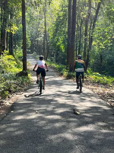 Imagen del tour: Excursión de Kochi a Thattekkad/ Kallarkutty/ Munnar (Sólo ida)