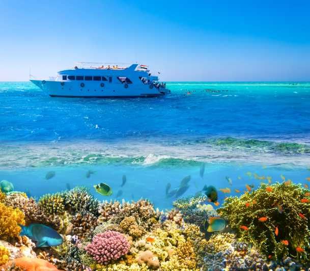 Imagen del tour: Sharm El Sheij: Crucero en barco de lujo con snorkel y almuerzo