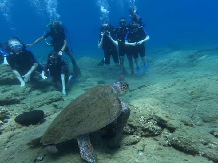 Imagen del tour: Heraklion: Programa de Buceador Básico SSI para Principiantes con 2 Inmersiones