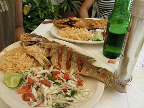 Imagen del tour: Recorrido gastronómico por Cozumel