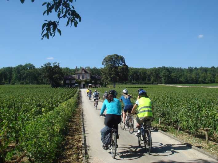 Imagen del tour: Desde Beaune Excursión de un día en bicicleta y vino por Borgoña
