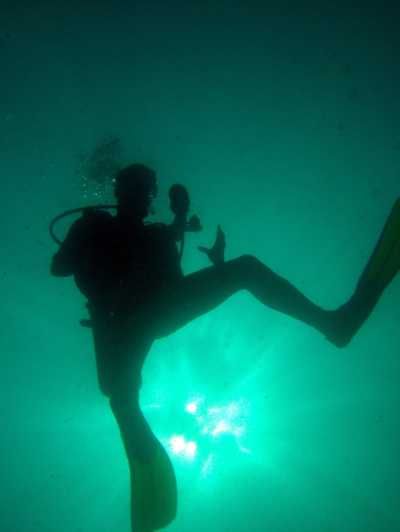 Imagen del tour: Golfo de Papagayo: Excursión de medio día de buceo de 2 inmersiones