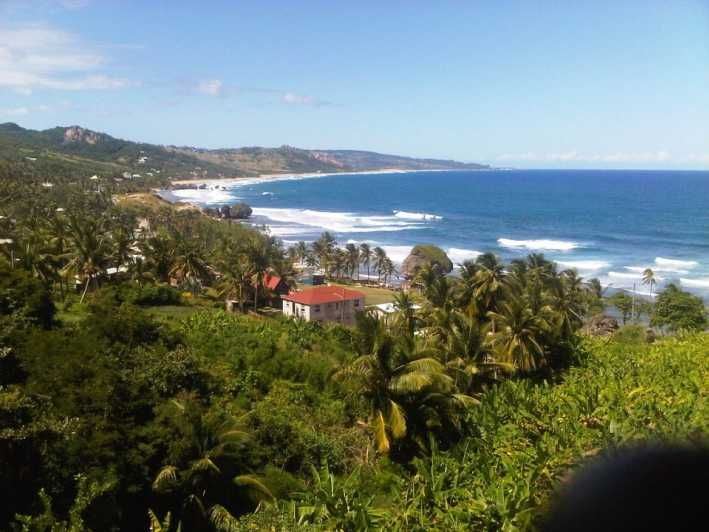 Imagen del tour: Barbados: Excursión de 5 horas por la isla con almuerzo y bebidas