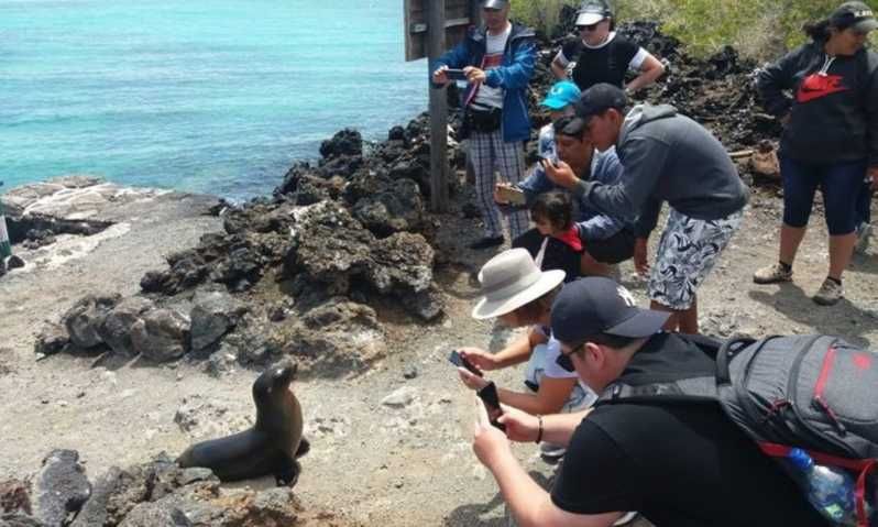 Imagen del tour: Excursión de un día a la Isla Isabela y Tintoreras en Galápagos