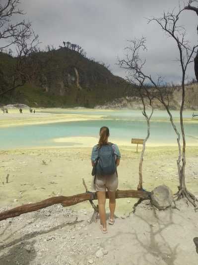 Imagen del tour: Guía de la Plantación de Té del Cráter Blanco Bandung