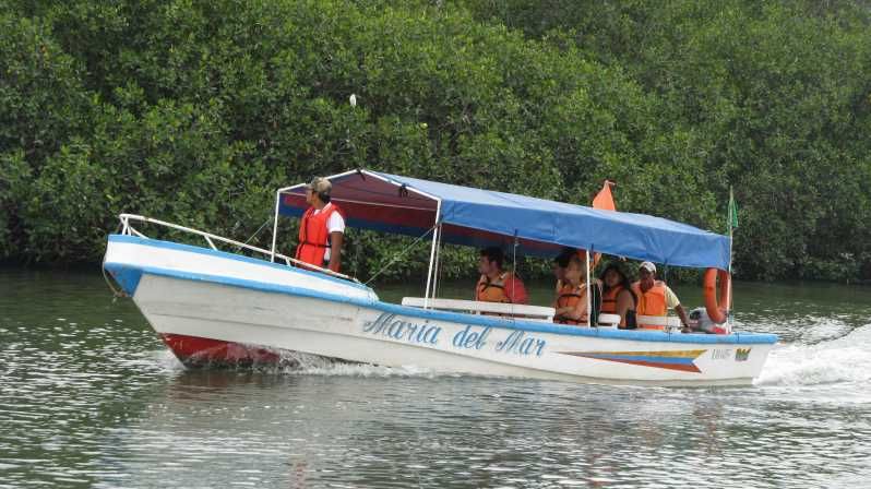 Imagen del tour: Desde Guayaquil: avistaje de delfines en Puerto El Morro