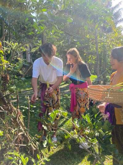 Imagen del tour: Ubud: Auténtica Clase de Cocina Tradicional Balinesa