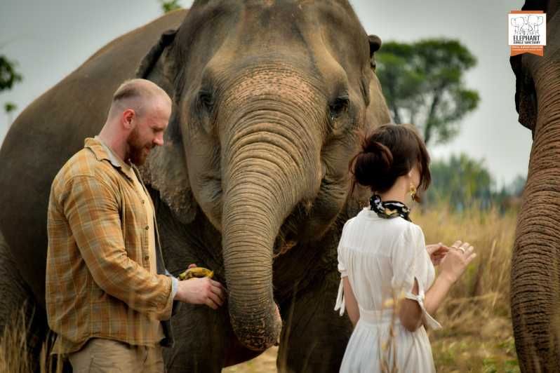 Imagen del tour: Pattaya: Tour de medio día al Santuario de la Selva de Elefantes con comida
