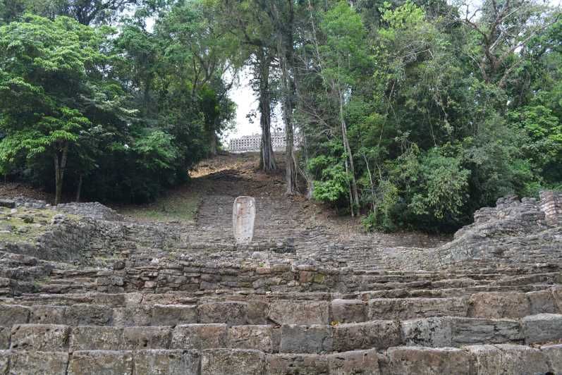 Imagen del tour: Yaxchilán, Bonampak y Selva Lacandona desde Palenque