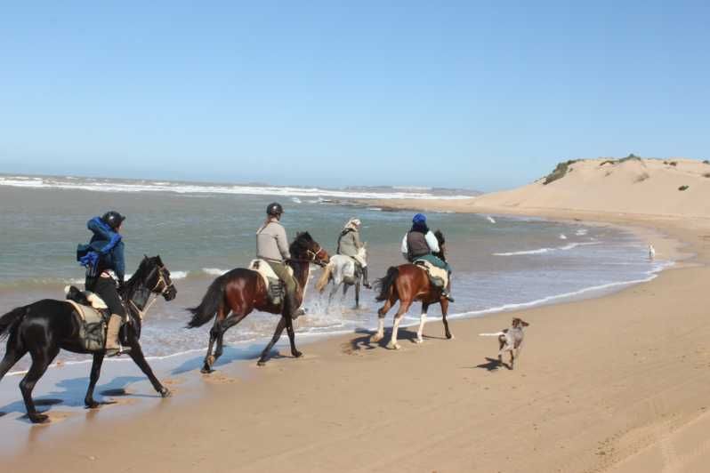 Imagen del tour: Desde Essaouira: Paseo a caballo de 1 hora