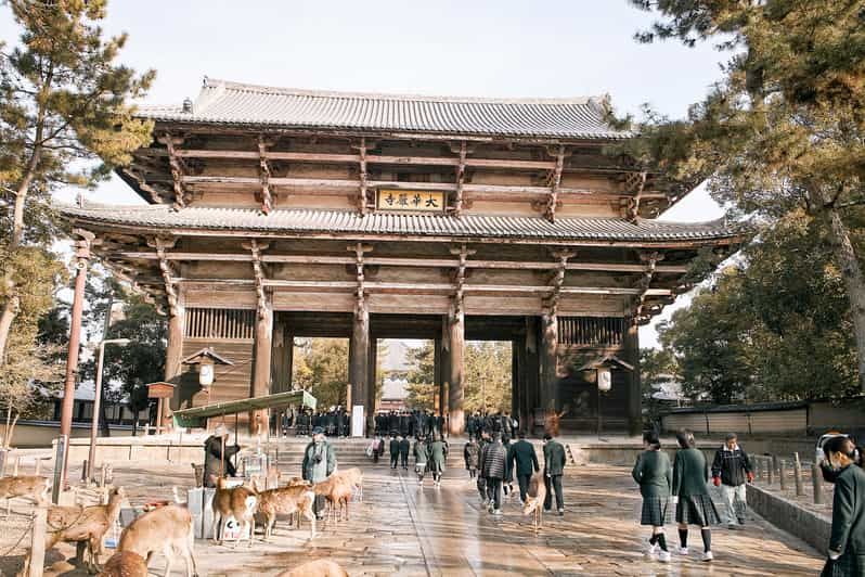 Imagen del tour: Nara como un local: tour guiado personalizado