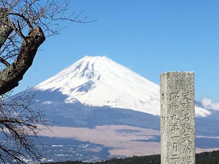 Imagen del tour: Senderismo Hakone Hachiri Zona Patrimonio de Japón