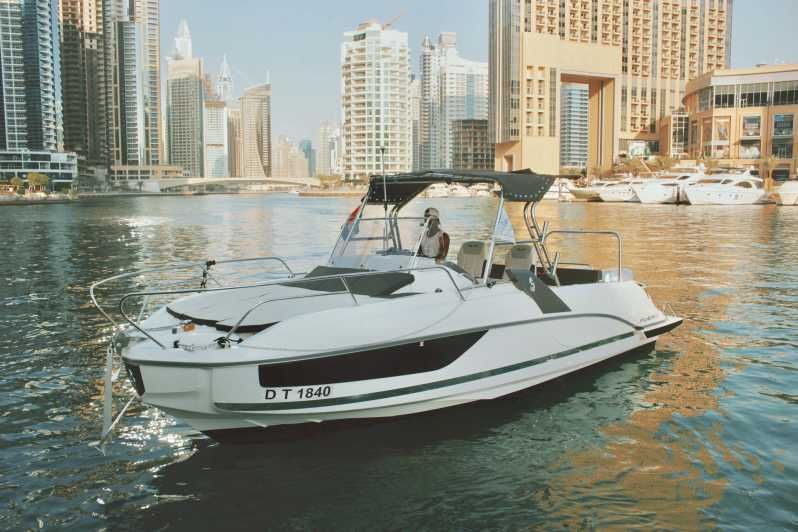 Imagen del tour: Dubai: Crucero turístico y de natación por el puerto deportivo