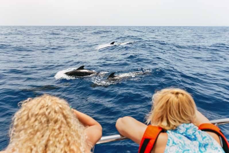 Imagen del tour: Costa Adeje: Excursión en Catamarán para Avistamiento de Cetáceos con Bebidas