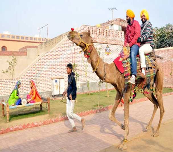 Imagen del tour: Amritsar: Visita nocturna a Sadda Pind con cena