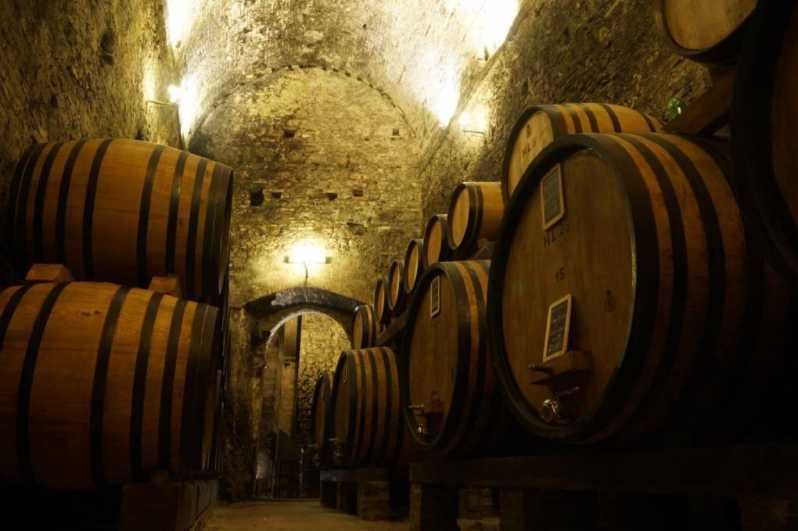 Imagen del tour: Cata de vino y tour de una bodega en Montepulciano