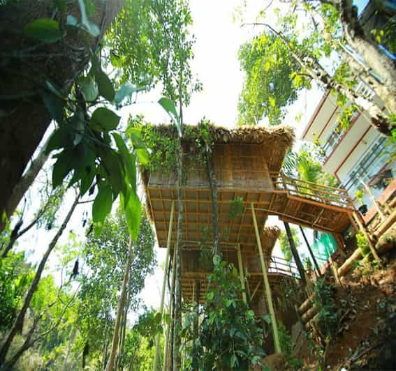 Imagen del tour: Kerala: Excursión de 4 días con estancia en casa de árbol y paseo en casa flotante