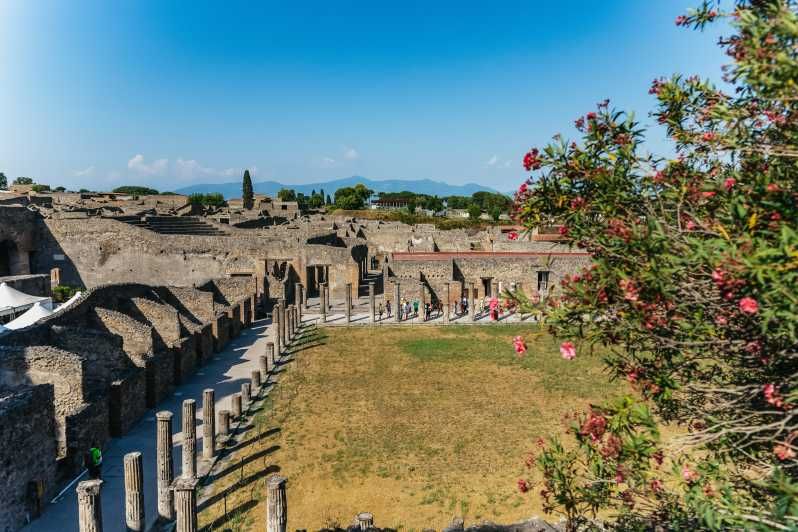 Imagen del tour: Pompeya: Visita al Parque Arqueológico con ticket de entrada previa solicitud