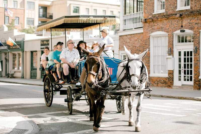 Imagen del tour: Charleston: recorrido en carruaje de 1 hora por el distrito histórico