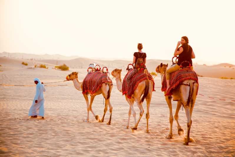 Imagen del tour: Experiencia Tradicional de Campamento en el Desierto y Quad en Abu Dhabi