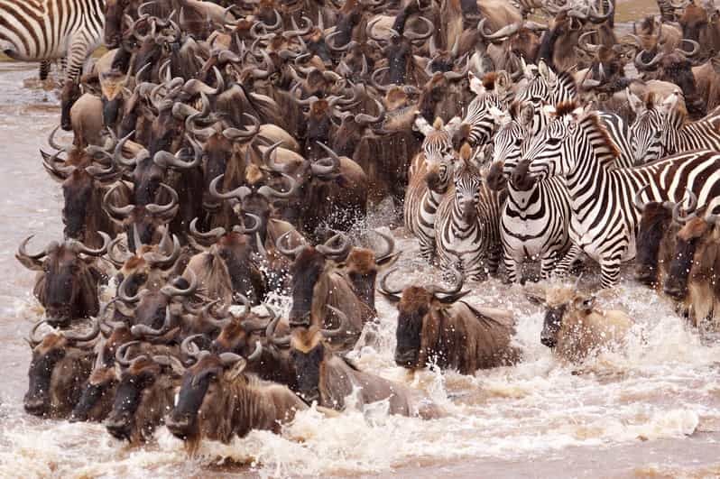 Imagen del tour: Nairobi Tour privado de 5 días por Maasai Mara, Nakuru y Naivasha