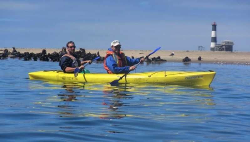 Imagen del tour: Walvis Bay: Excursión en Kayak por Pelican Point
