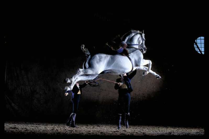 Imagen del tour: Jerez de la Frontera: baile de caballos andaluces y museos