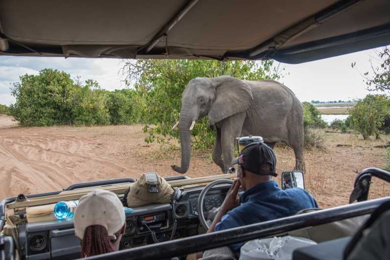 Imagen del tour: Parque Nacional de Chobe: Excursión de un día con crucero por el río