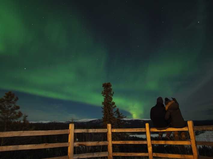 Imagen del tour: Whitehorse: vista nocturna de la aurora boreal