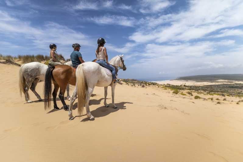 Imagen del tour: Algarve: tour de 1 hora a caballo por Carrapateira
