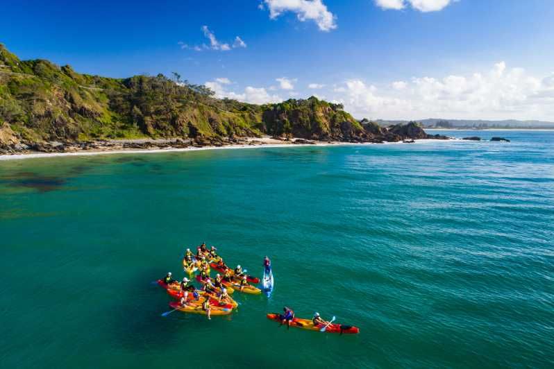 Imagen del tour: Byron Bay: tour en kayak con delfines y tortugas
