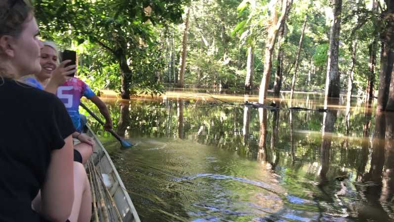 Imagen del tour: Desde Manaus: Experiencia de un día en la selva amazónica