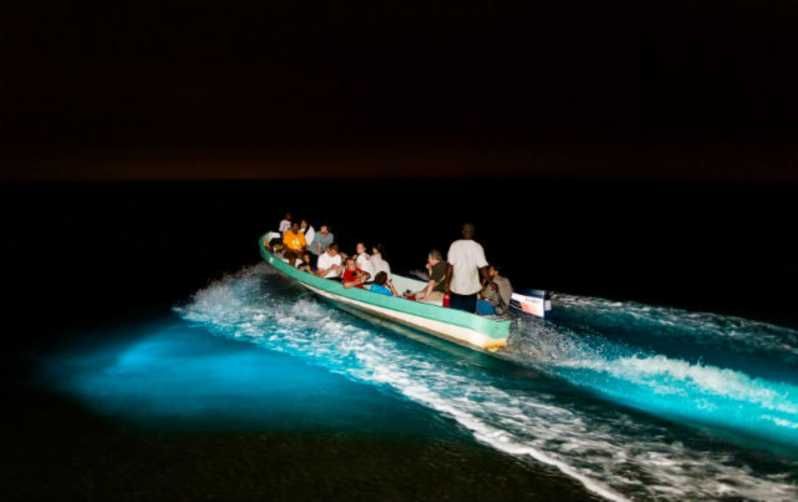 Imagen del tour: Puerto Escondido: tortugas y plancton bioluminiscente