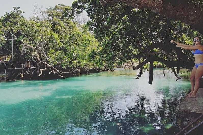 Imagen del tour: Port Vila: Pepeyo, Laguna Azul y Excursión al Edén